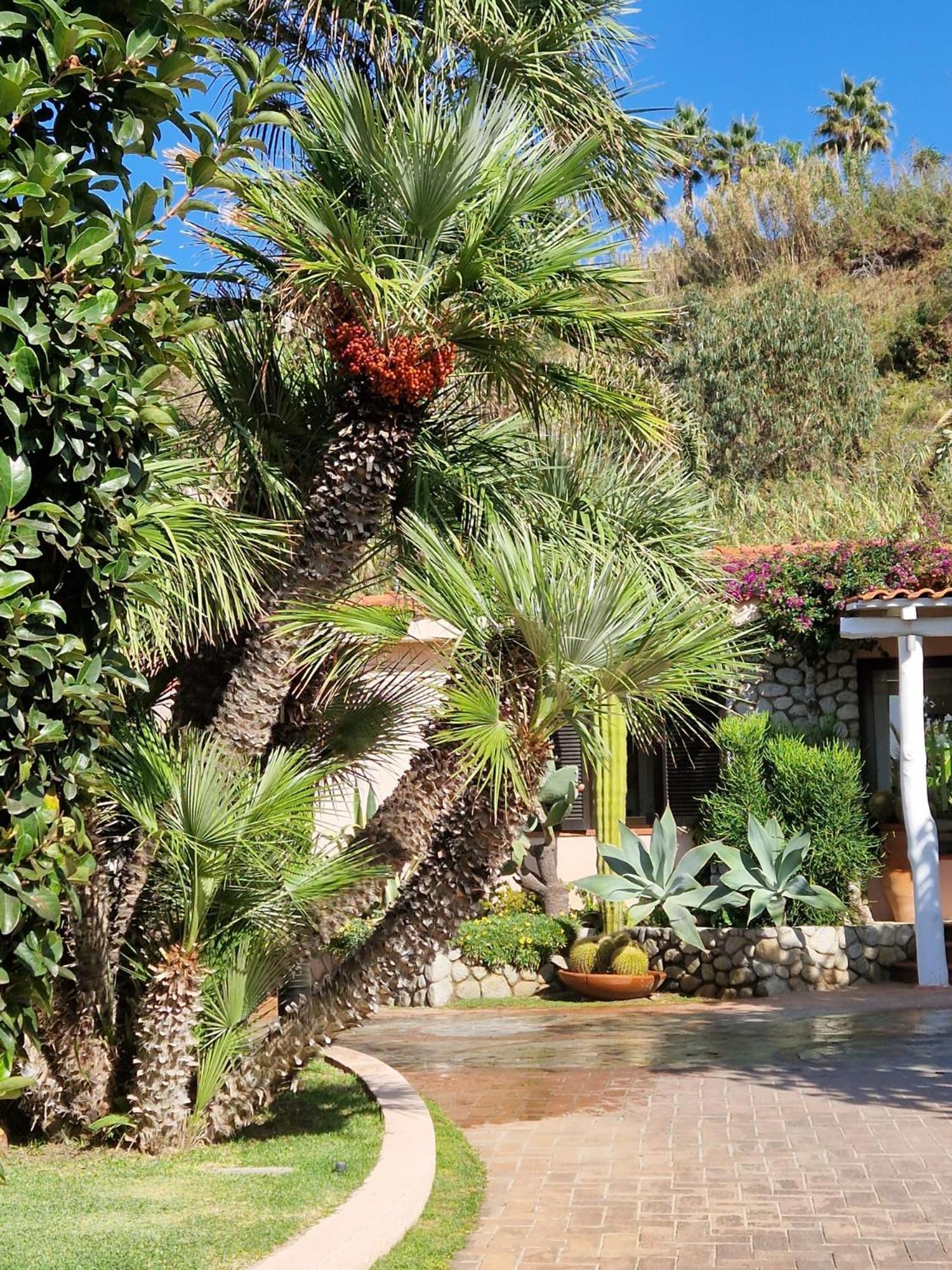 Hotel Villaggio Cala Di Volpe Capo Vaticano Exterior foto