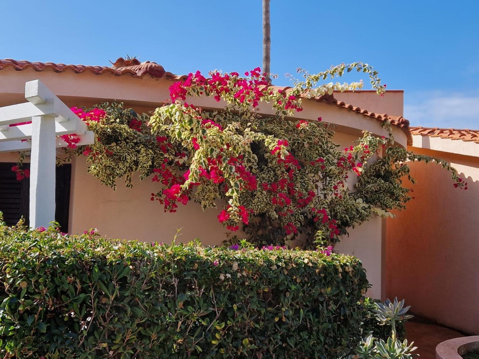 Hotel Villaggio Cala Di Volpe Capo Vaticano Exterior foto
