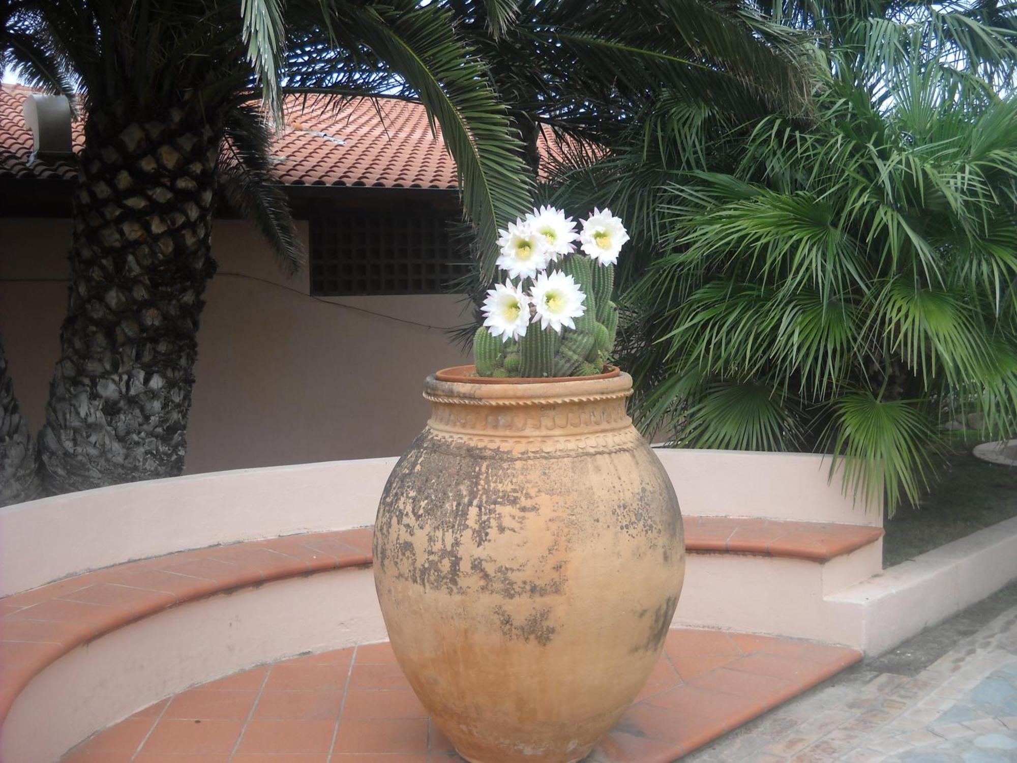 Hotel Villaggio Cala Di Volpe Capo Vaticano Exterior foto